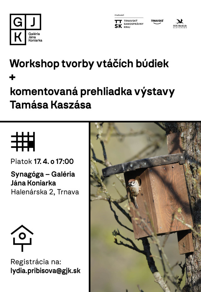 Workshop on building birdhouses and a guided tour of the exhibition by Tamás Kaszás
