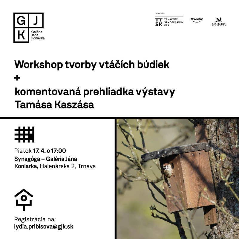 Workshop tvorby vtáčích búdiek a komentovaná prehliadka výstavy Tamása Kaszása