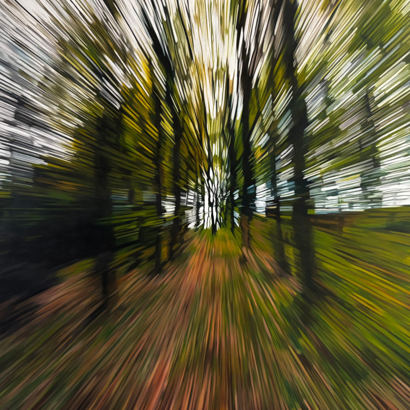 Paradoxy reálneho: Fotorealizmus a Hyperrealizmus v slovenskej maľbe