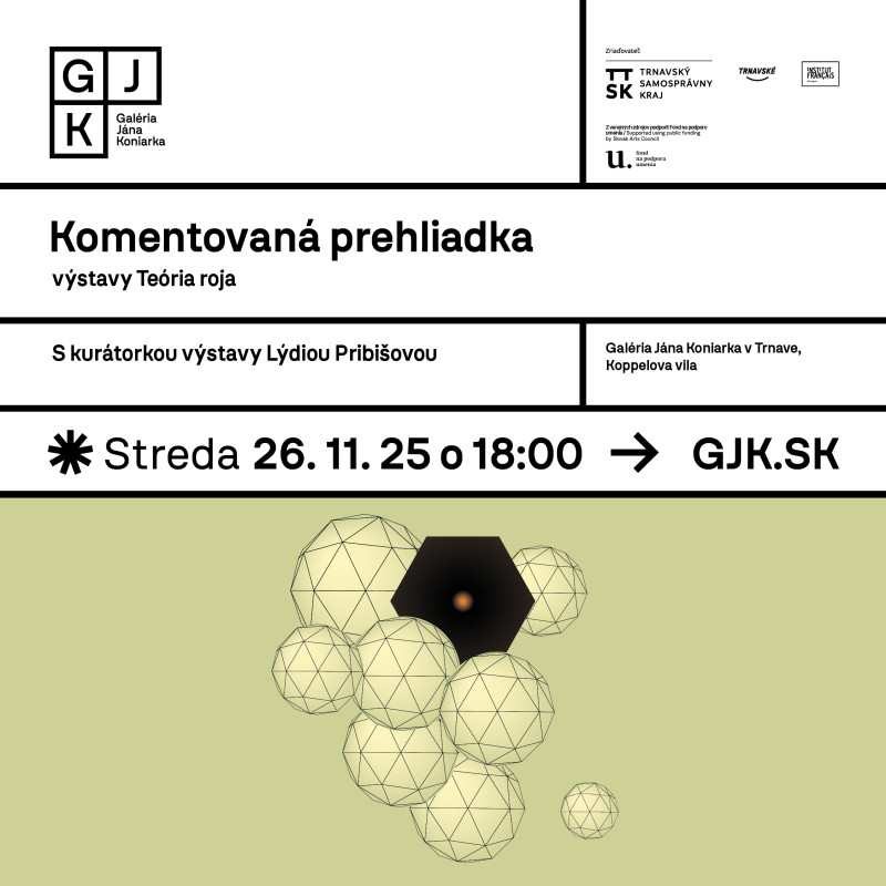Komentovaná prehliadka výstavy Teória roja