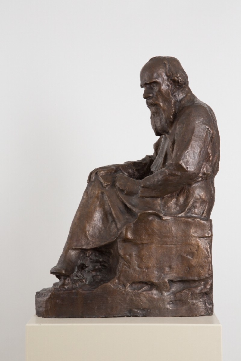 Sediaci L.N.Tolstoj