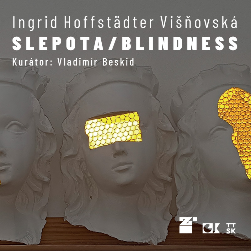 Ingrid Hoffstädter Višňovská: Slepota / Blindness