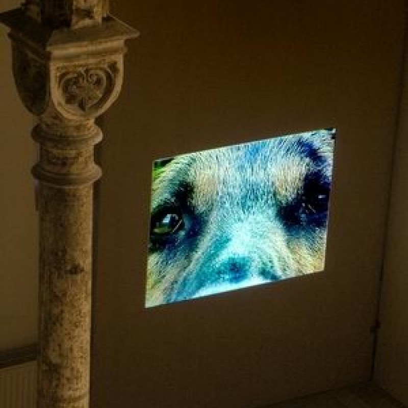 Votrelec / Fremdkorper