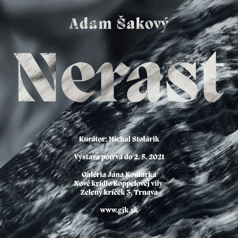 Adam Šakový – Nerast