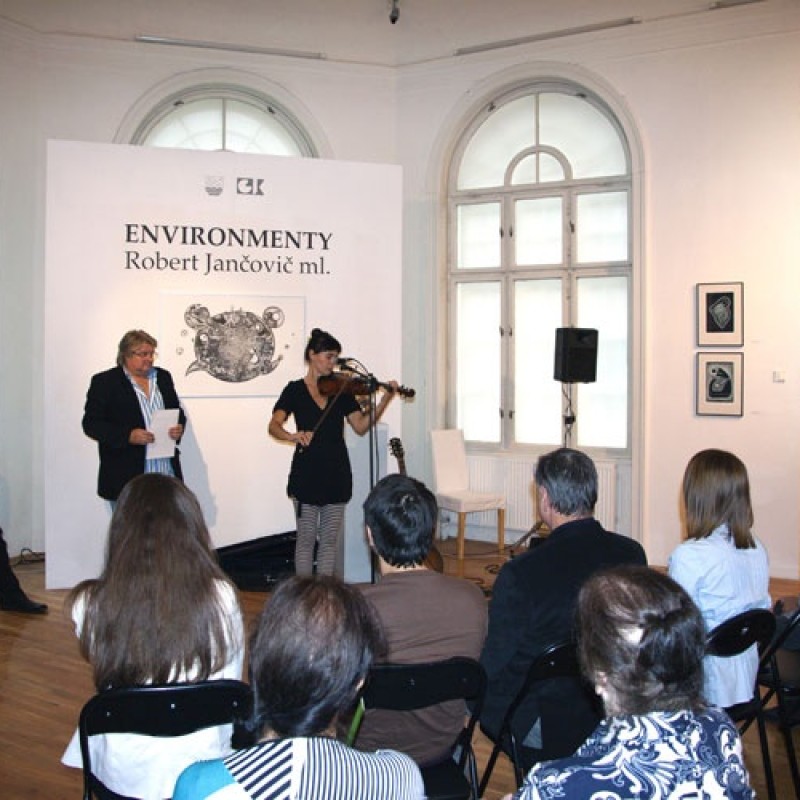 Robert Jančovič ml.: E n v i r o n m e n t y